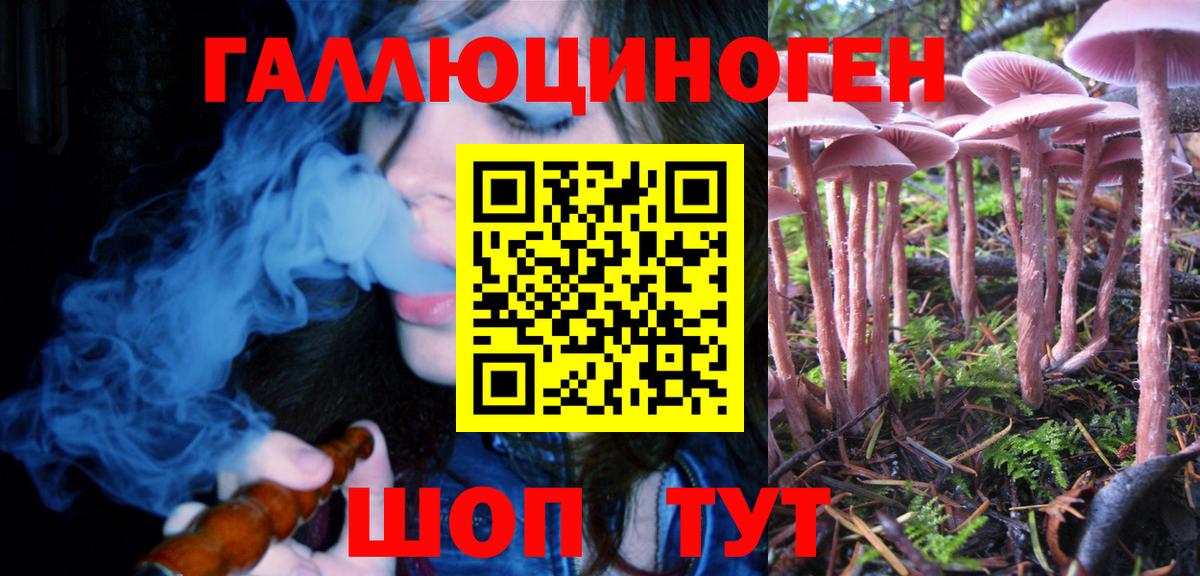 Галлюциногенные грибы MAGIC MUSHROOMS Полевской