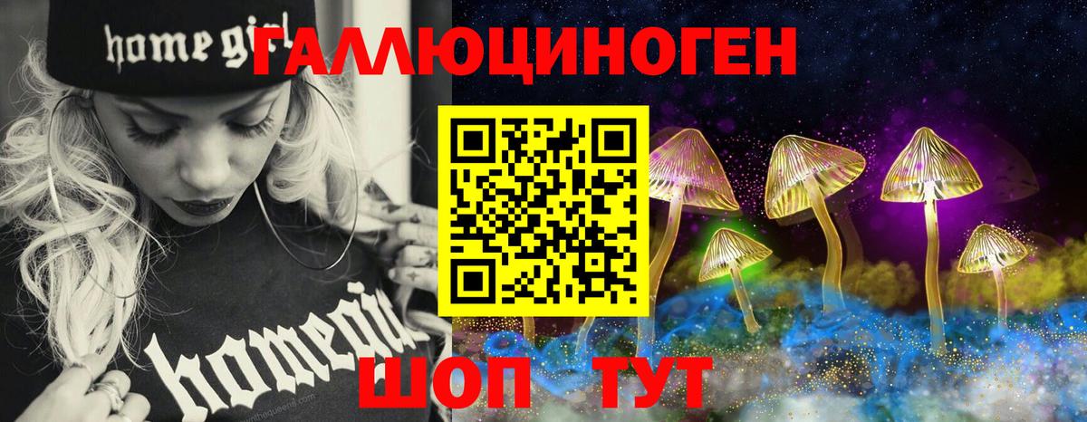 Полевской  Галлюциногенные грибы Psilocybe  Вход с VPN 